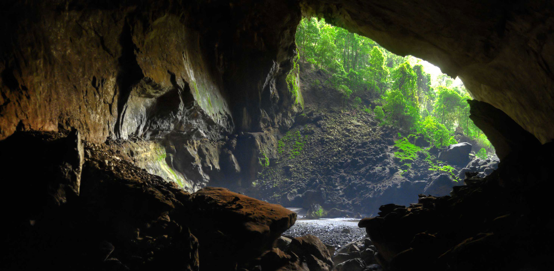 Gunung Mulu National Park