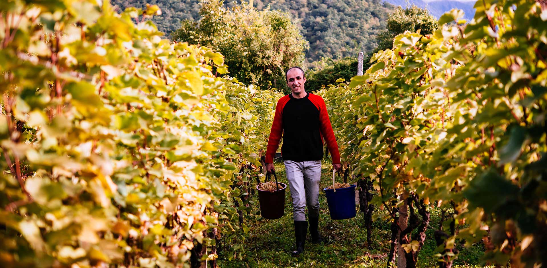 Kakheti Wine Region