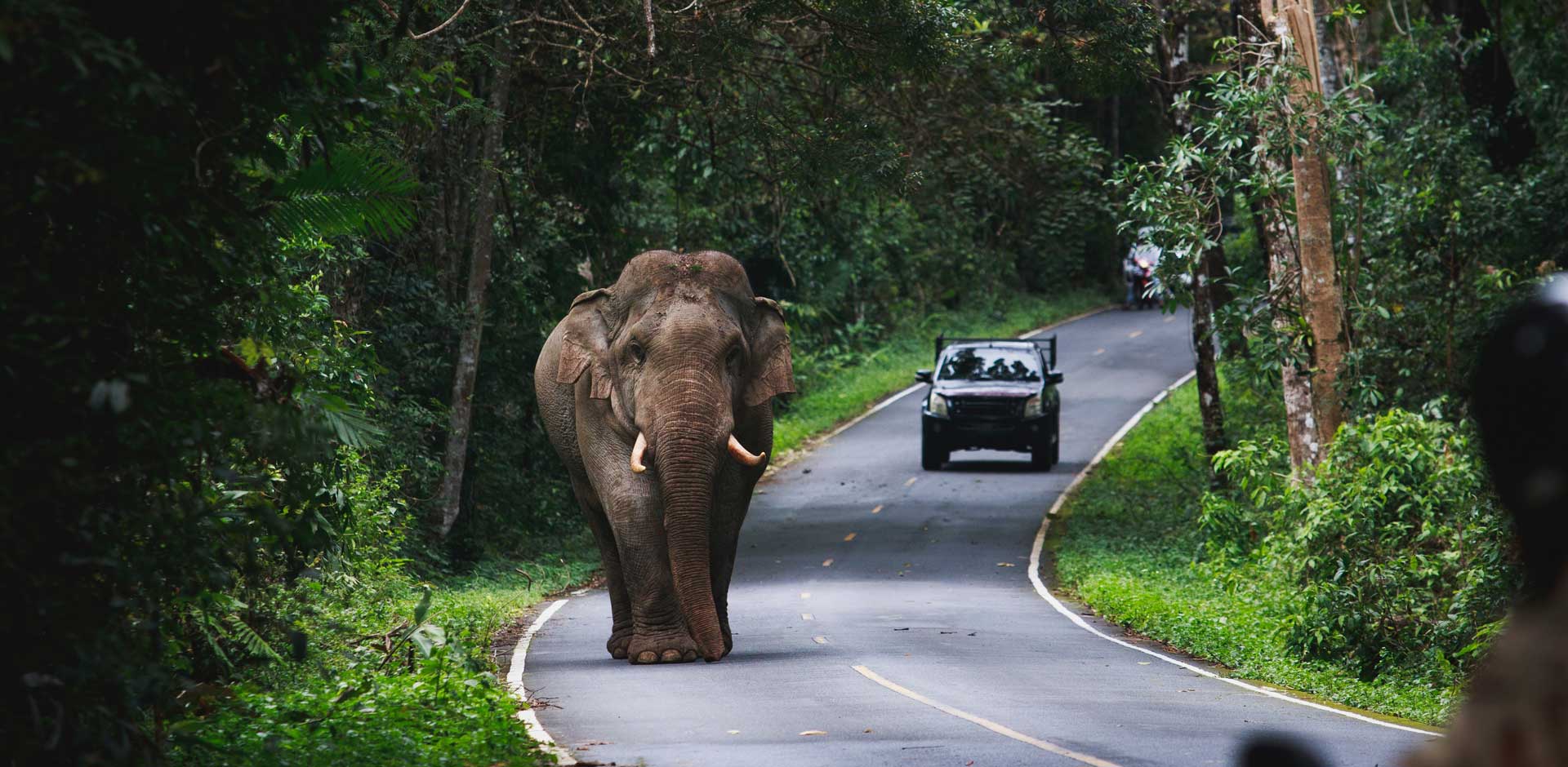 Khao Yai National Park