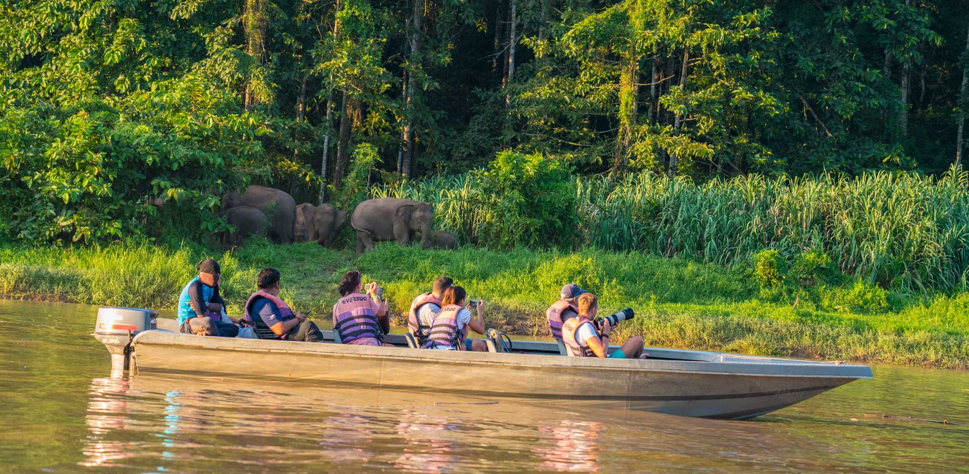 Kinabatangan River