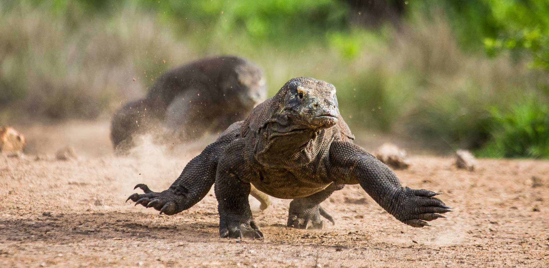 Komodo National Park