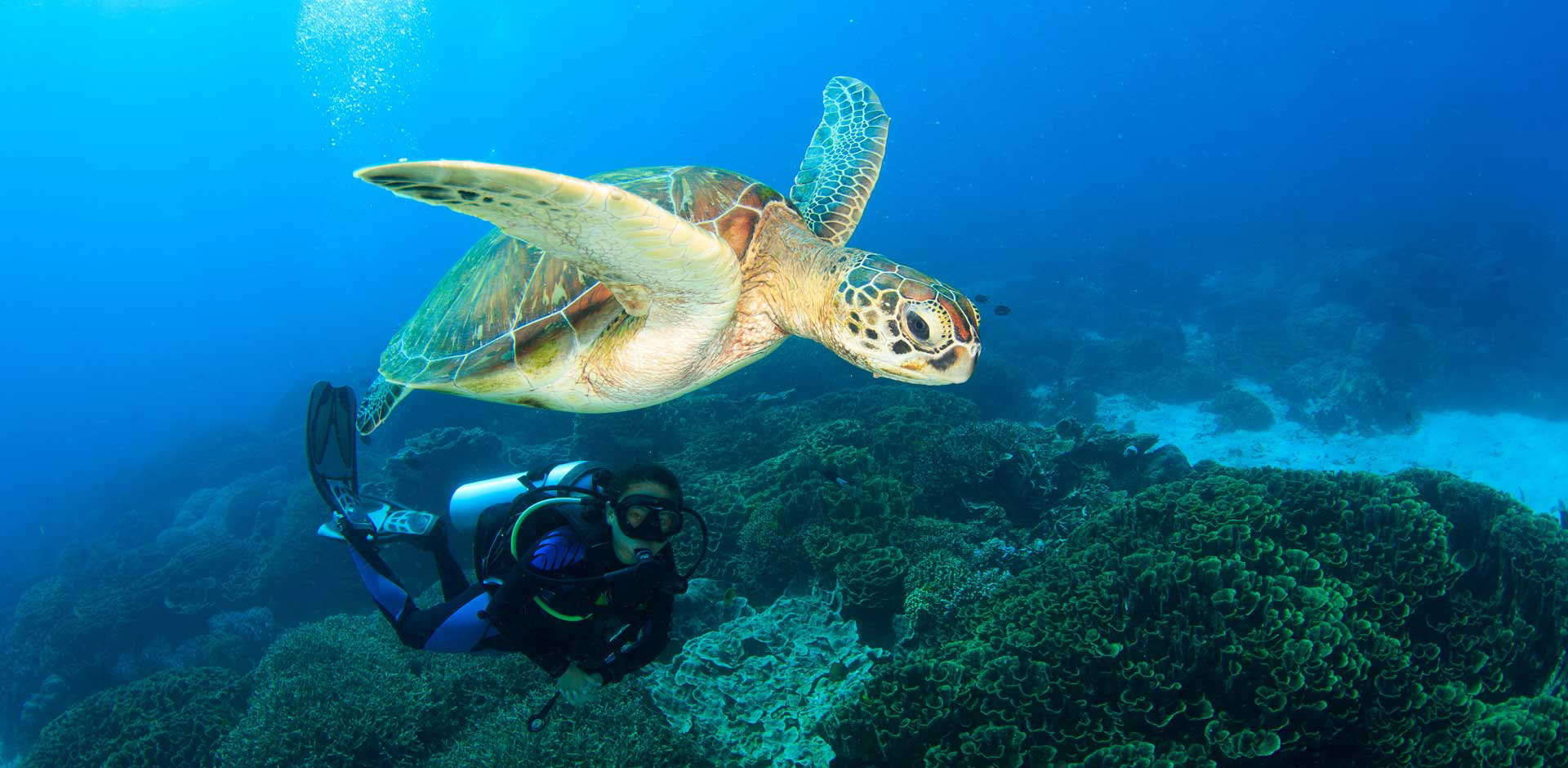 Komodo National Park