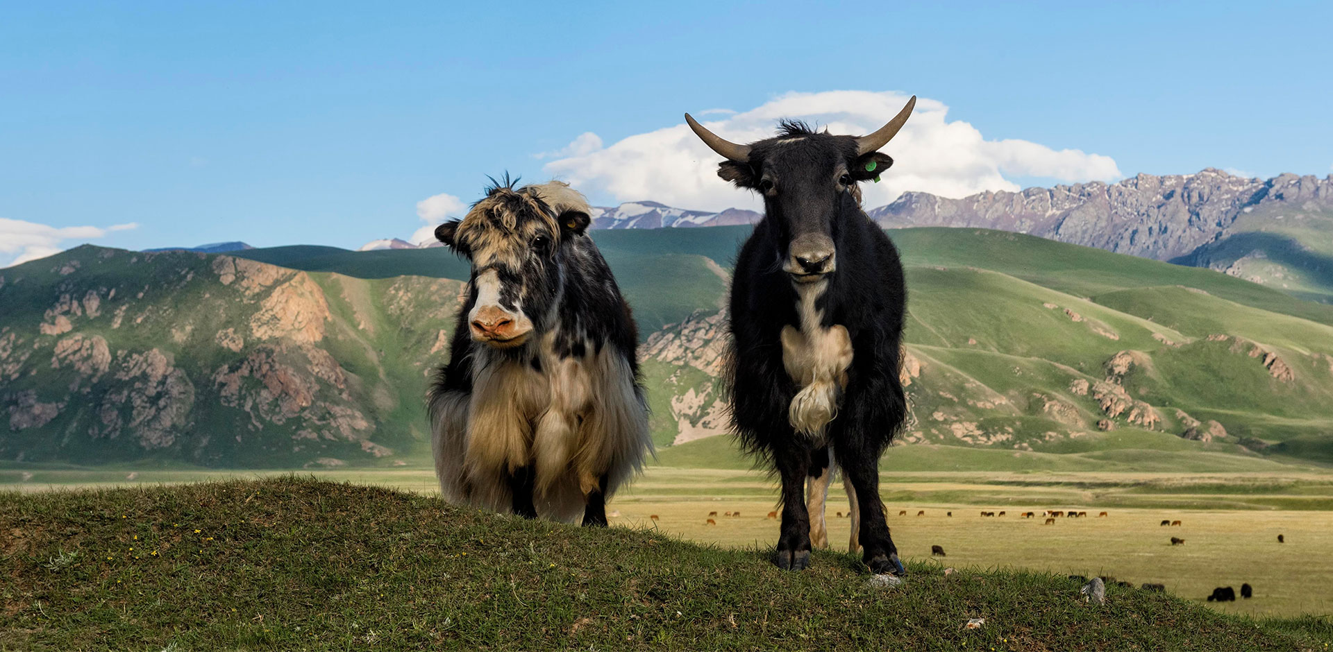 Kyrgyzstan