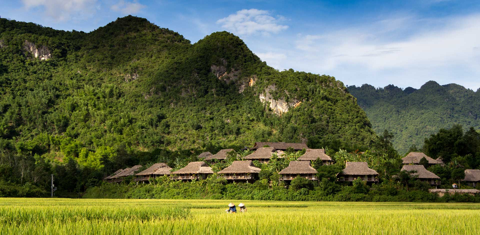 Mai Chau