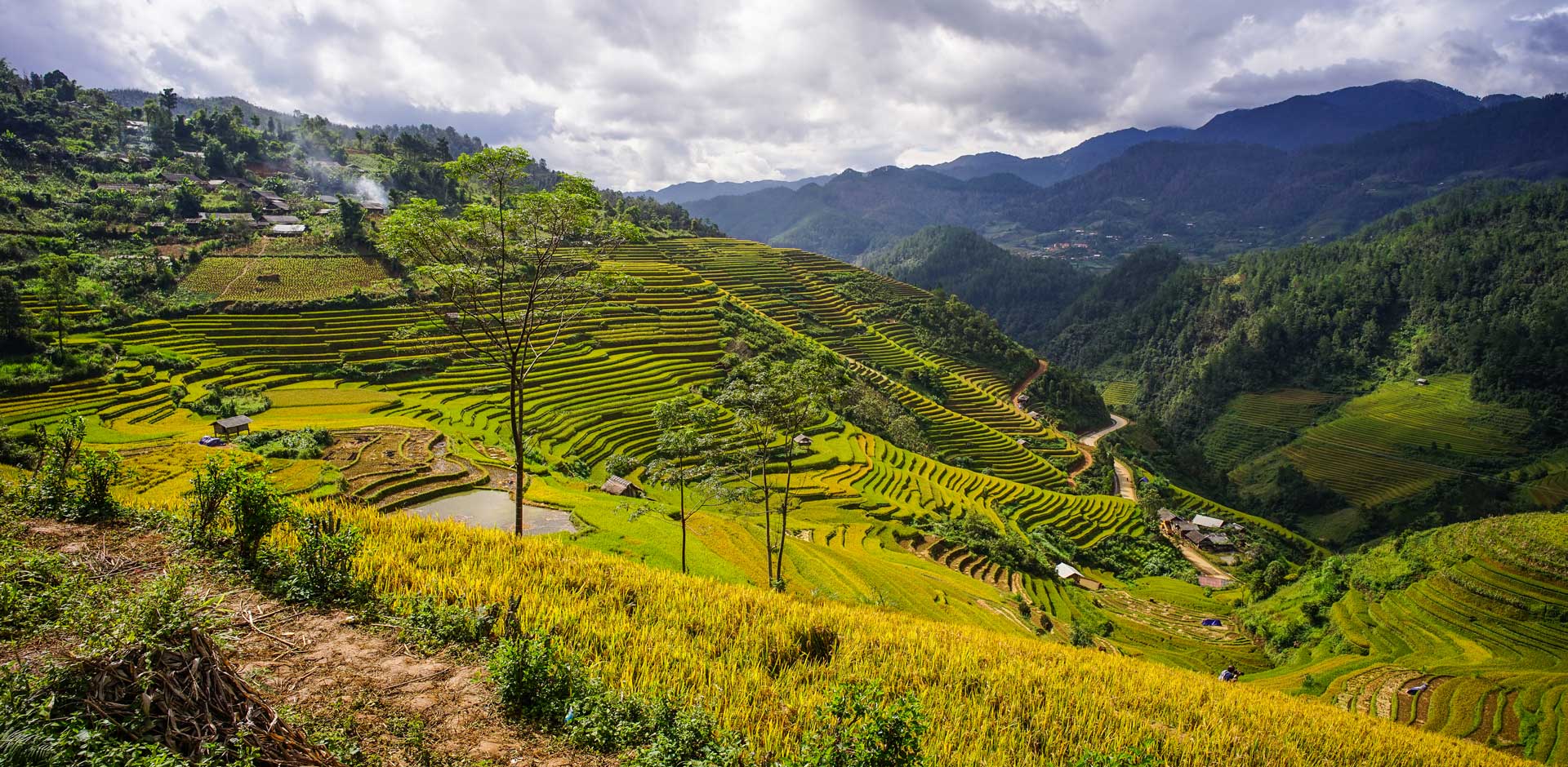 Mai Chau