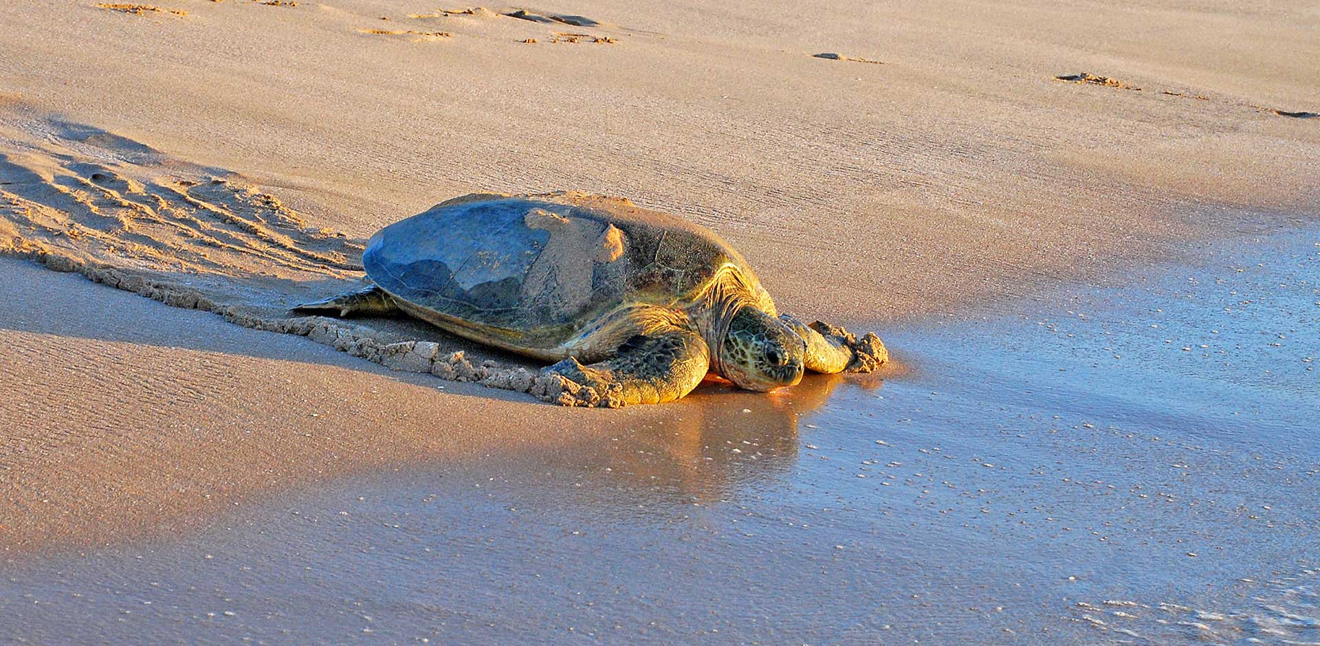 Masirah Island