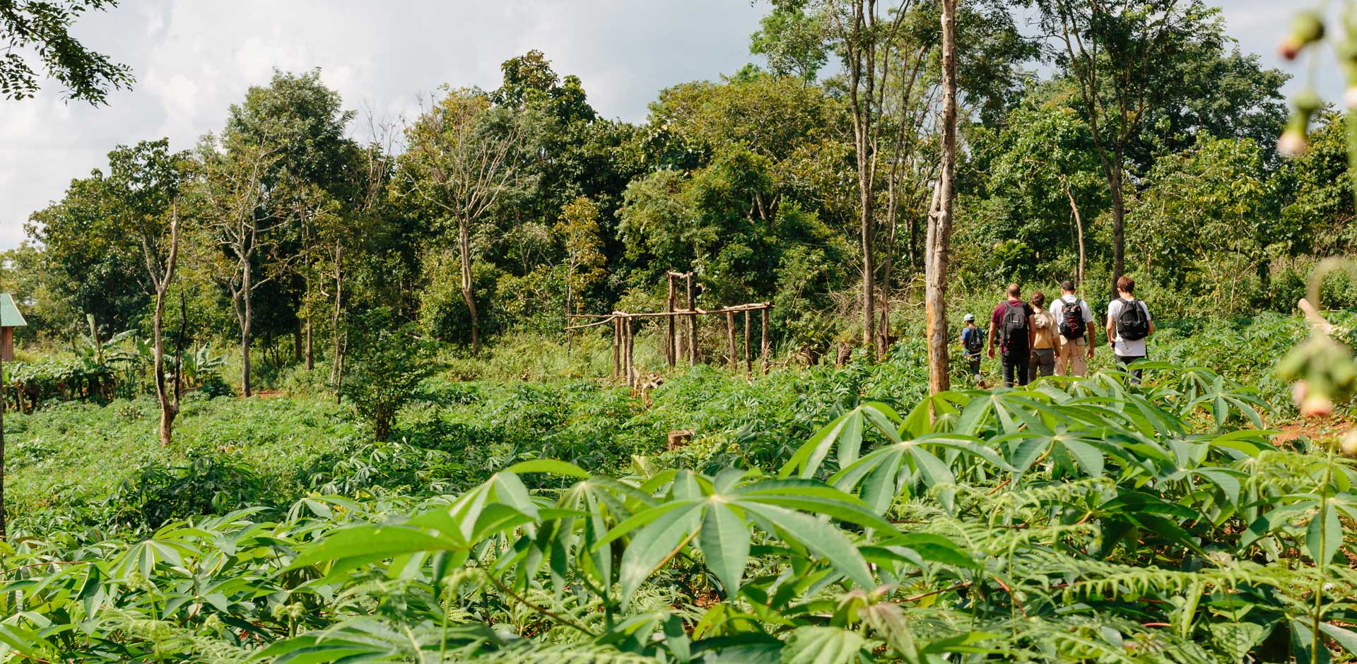 Mondulkiri