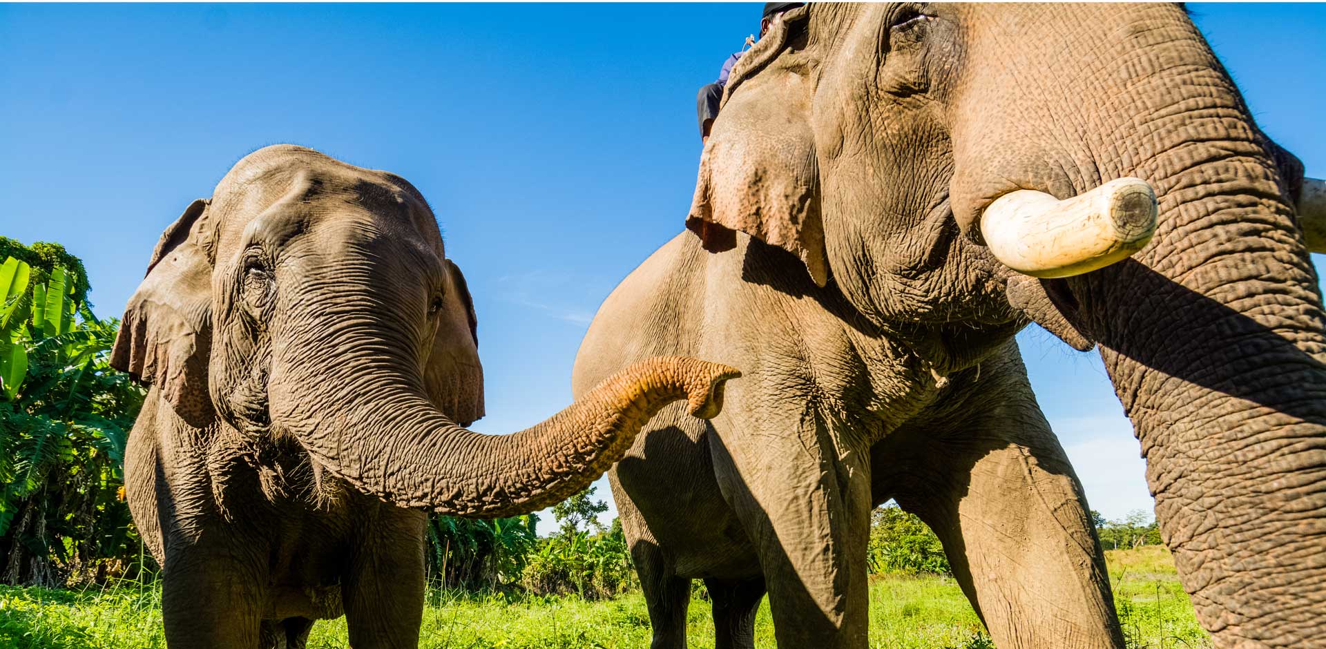 Mondulkiri