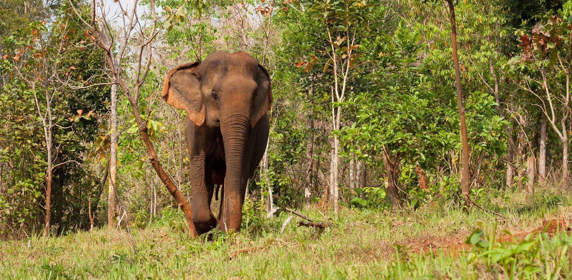 Mondulkiri