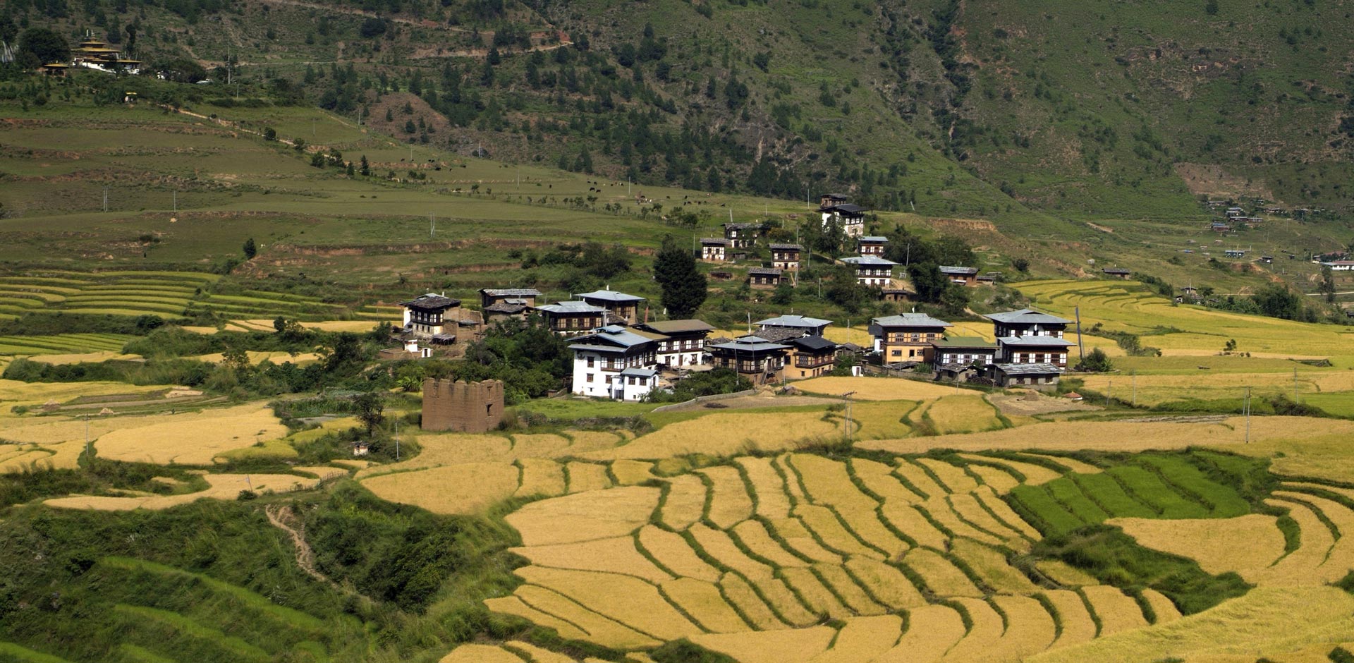 Punakha