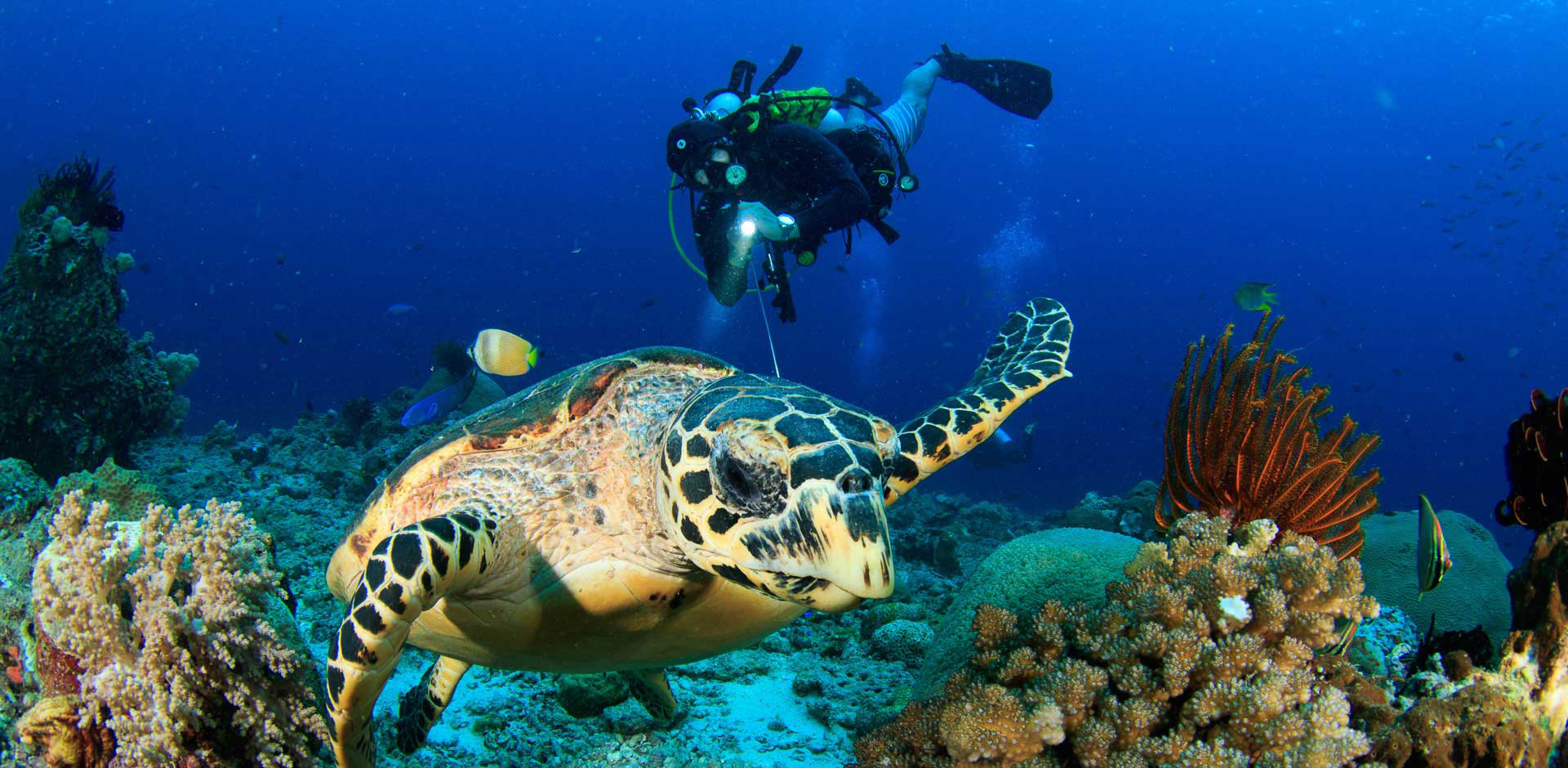 Raja Ampat