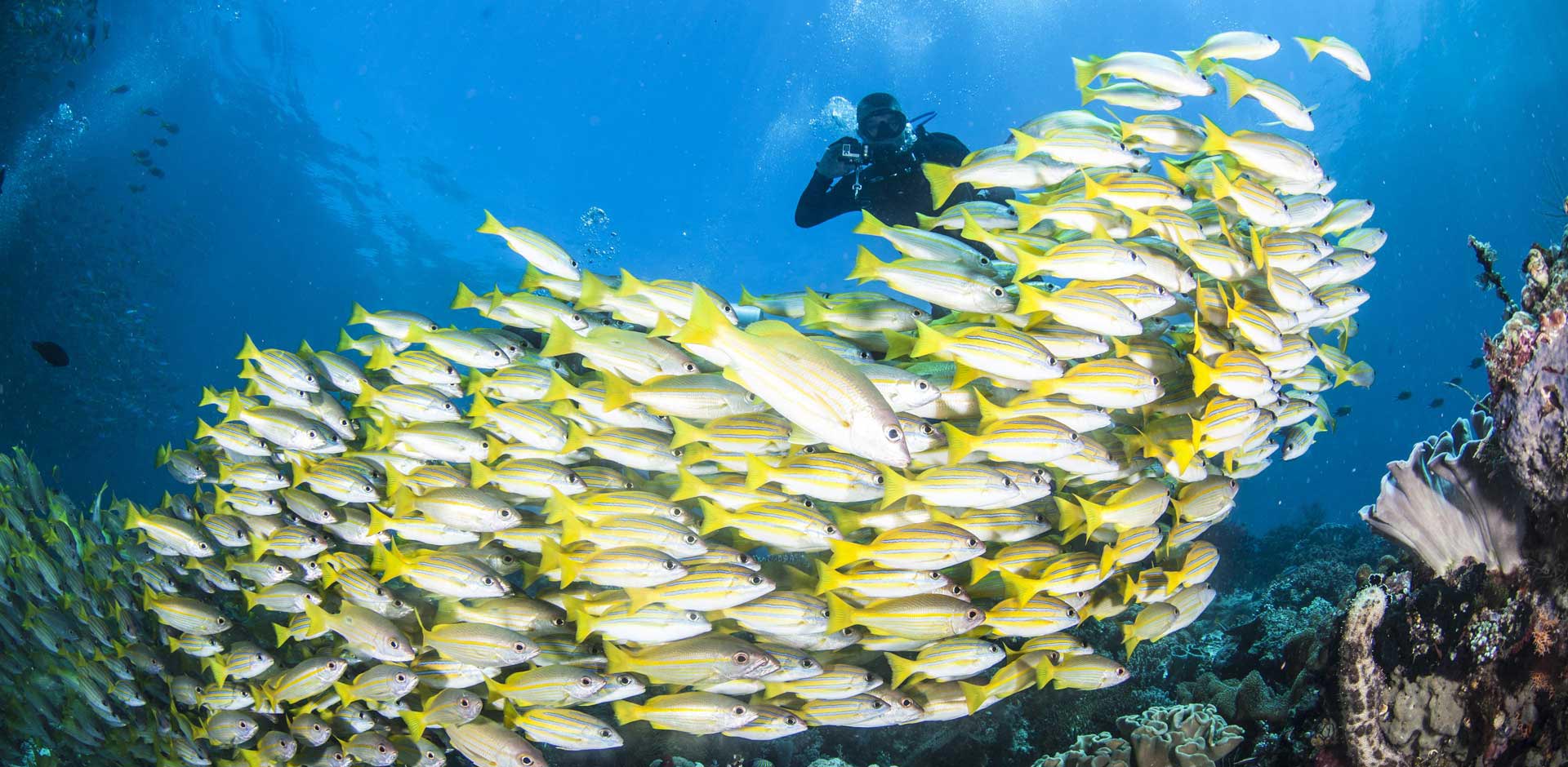 Raja Ampat