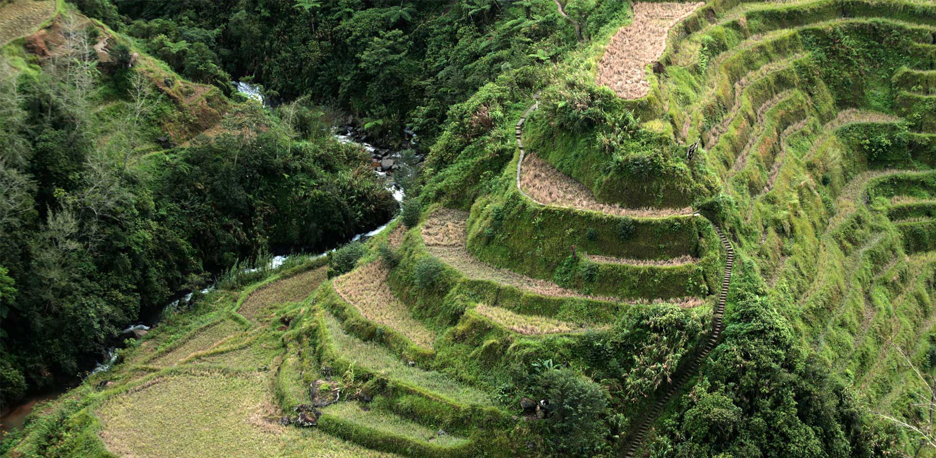 Sagada