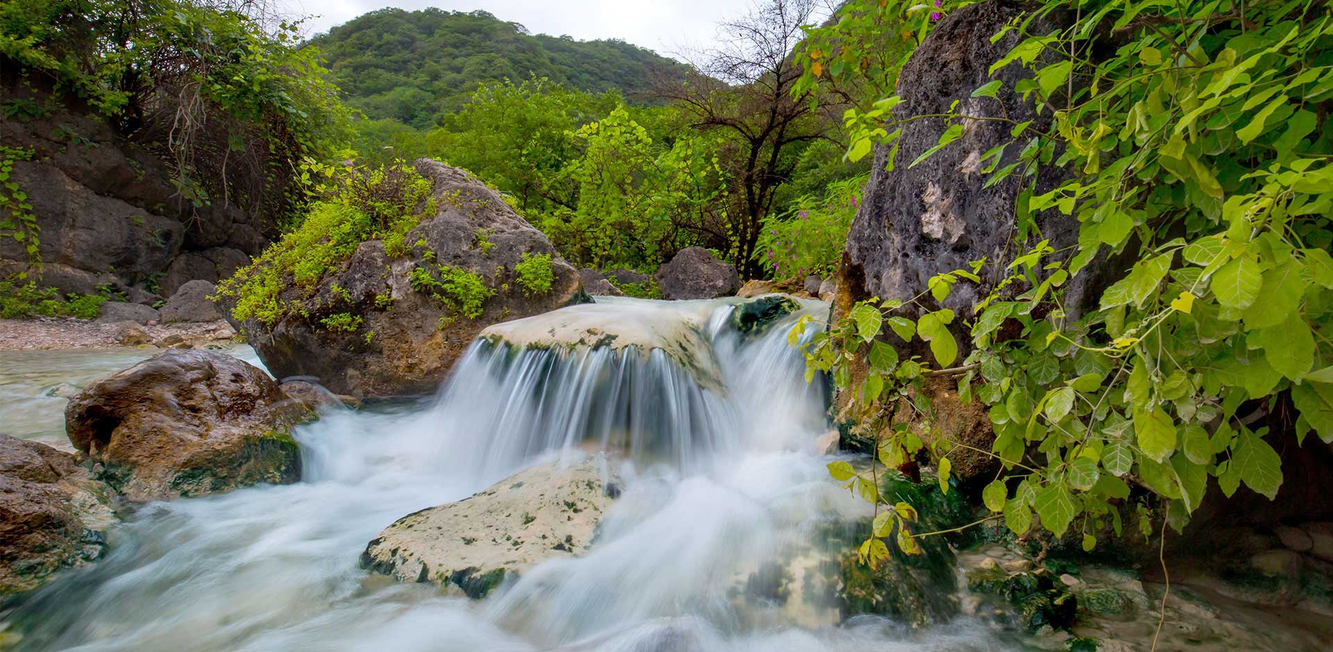 Salalah