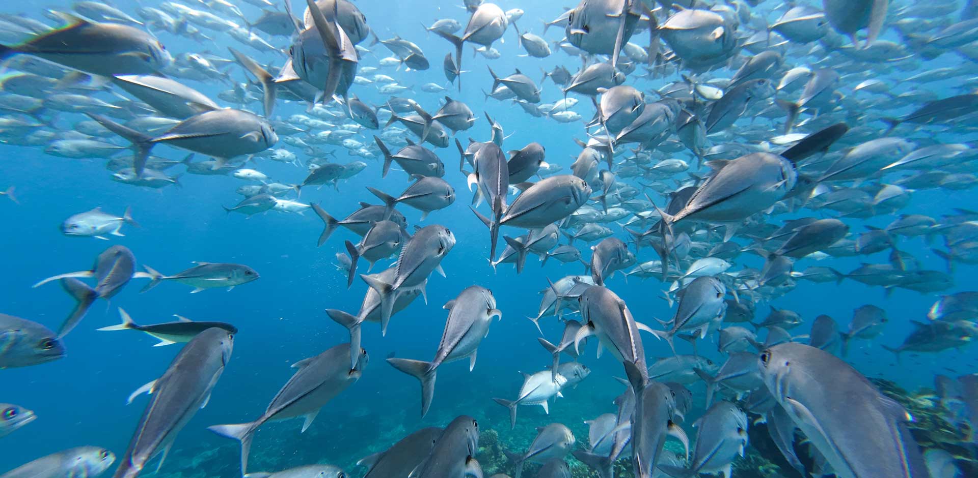 Similan Islands