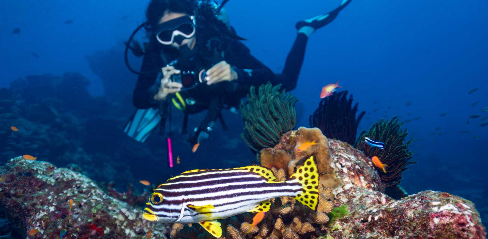 Similan Islands