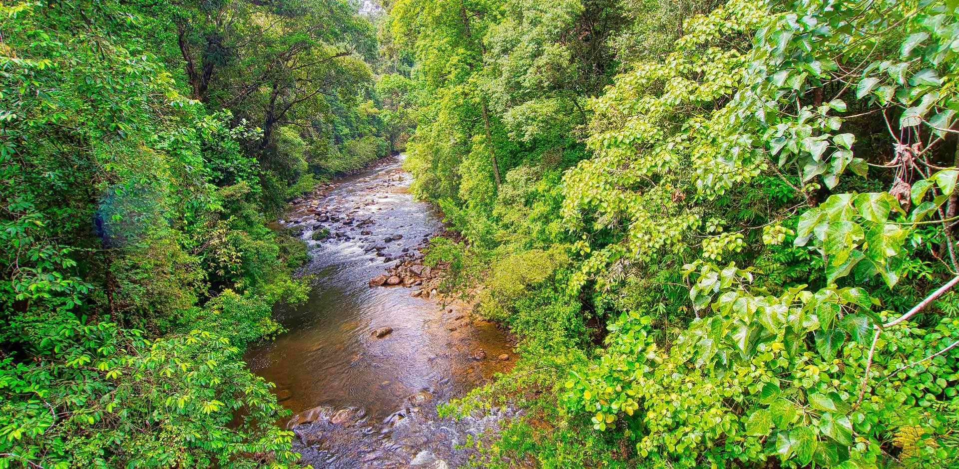 Sinharaja Forest Reserve