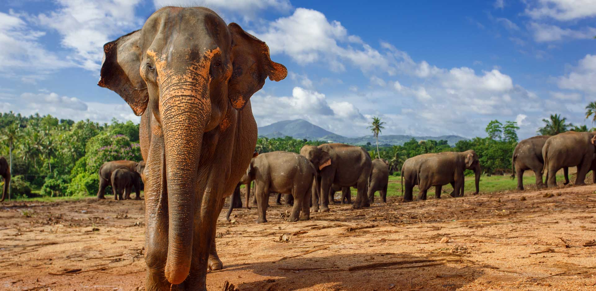 Sri Lanka