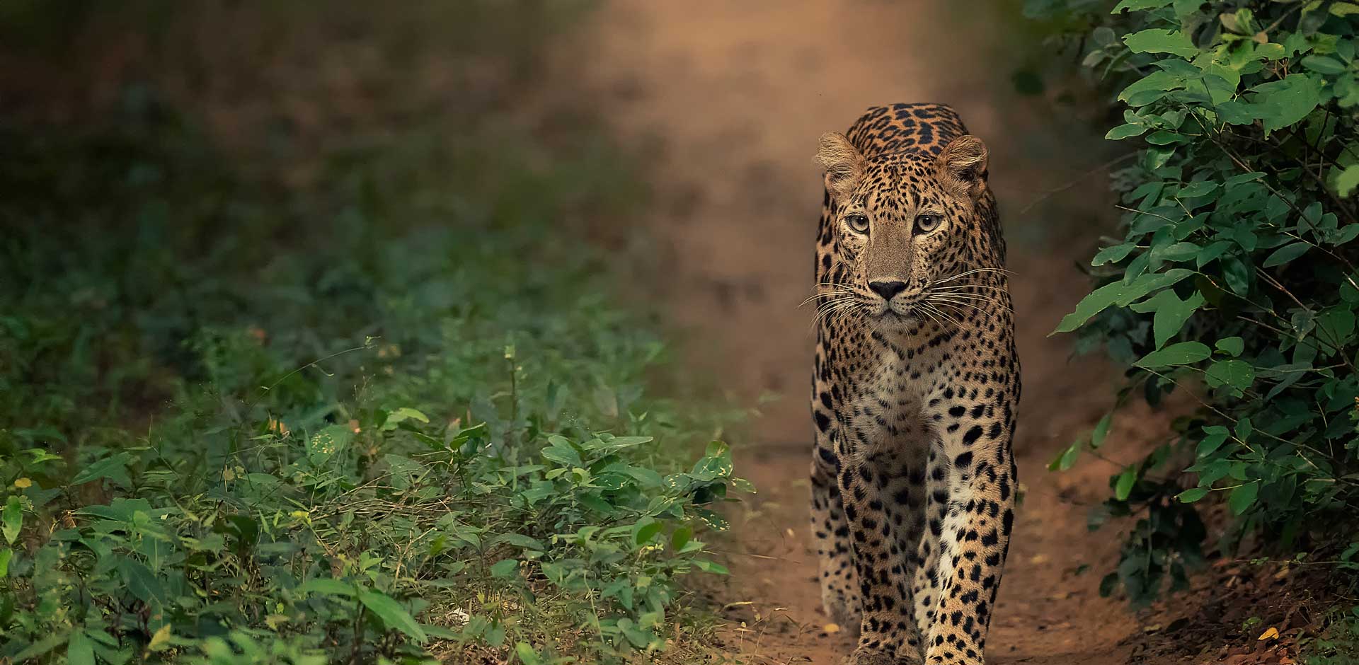 Sri Lanka