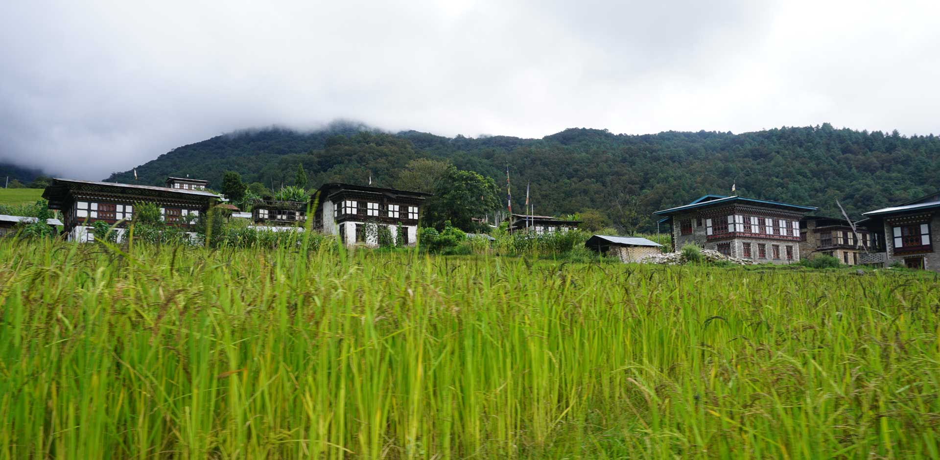 Trashiyangtse