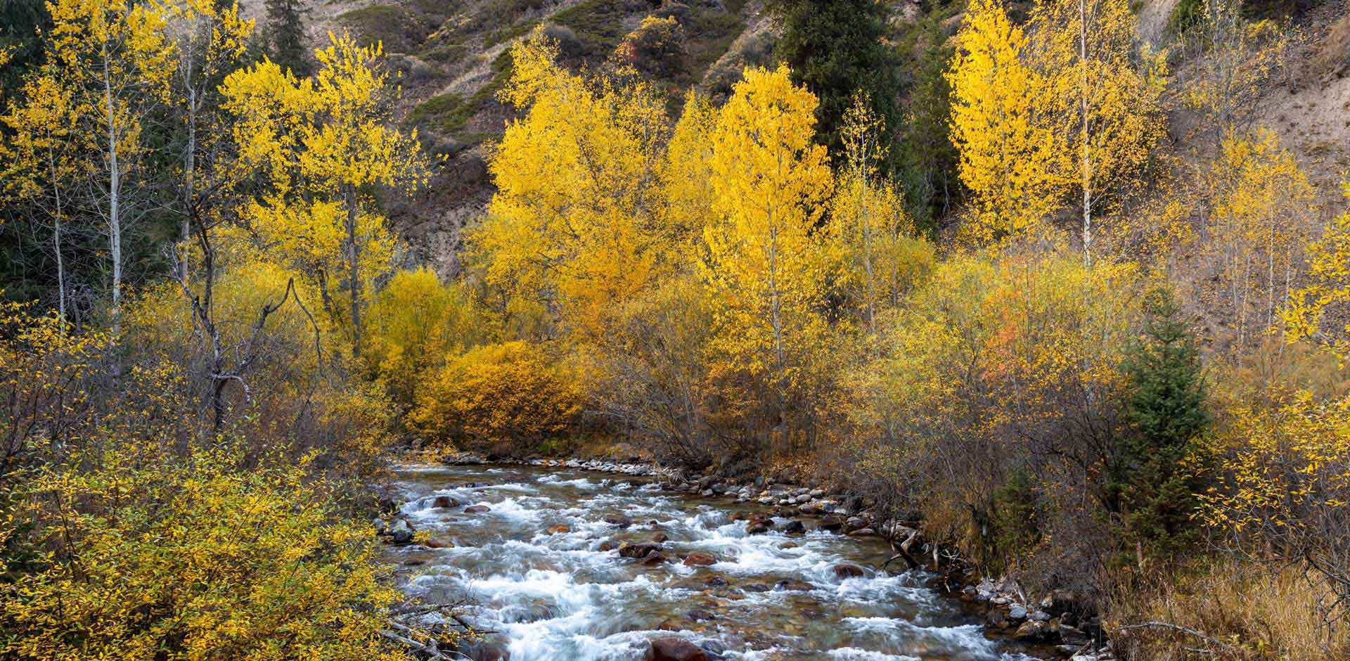 Turgen Valley