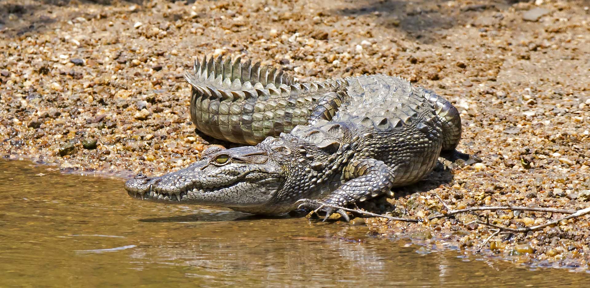 Wilpattu National Park