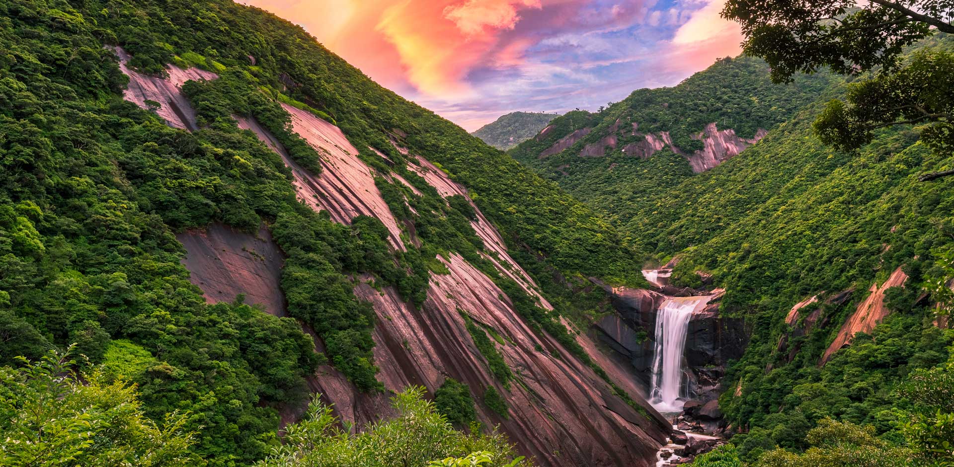 Yakushima Island