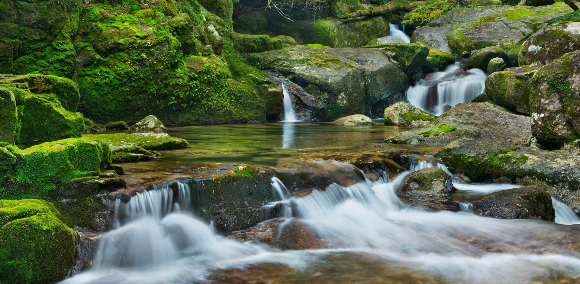 Yakushima Island