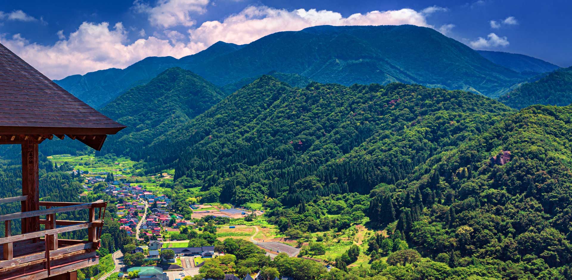 Yakushima Island