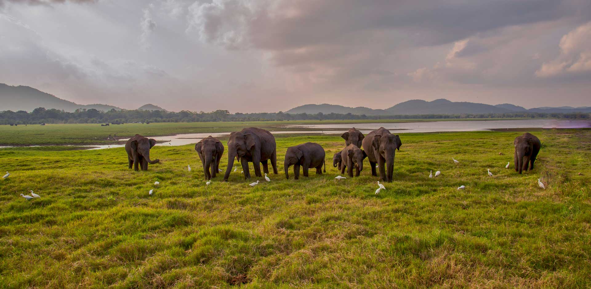 Yala National Park