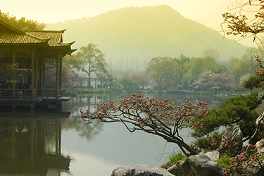 China's Majestic Landscapes: Peaks to Pandas