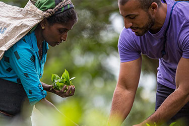 Discover Sri Lanka