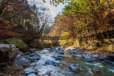 Island Wonders of Japan: A Cultural Odyssey