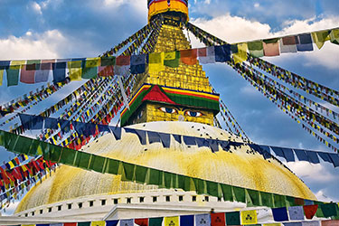 Himalayan Heritage & Wilderness Tour