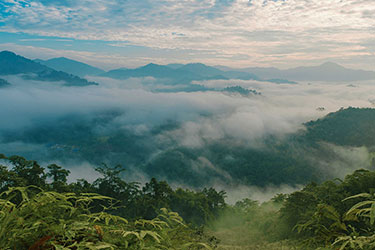 Family Adventure. Singapore to Langkawi